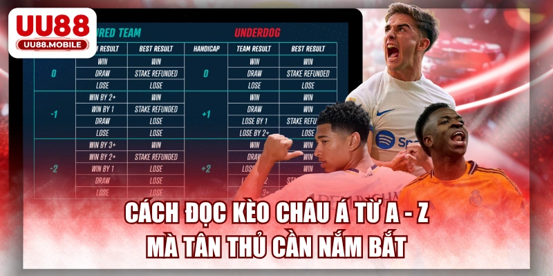 Cách Đọc Kèo Châu Á Từ A - Z Mà Tân Thủ Cần Nắm Bắt